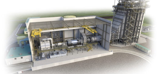 9ha ss plant light version 2015 520x245 1